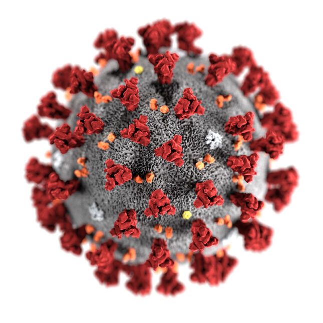 Coronavirus